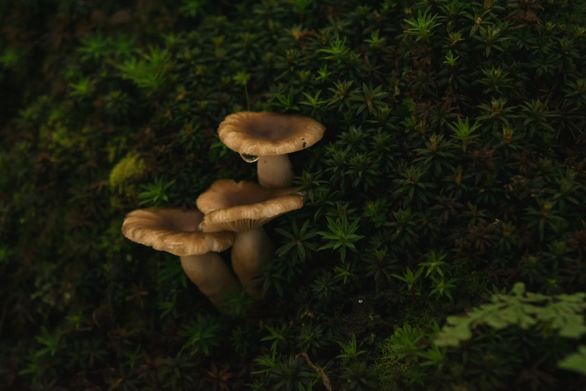 制造业设备维修工单管理中如何借助软件提升响应效率