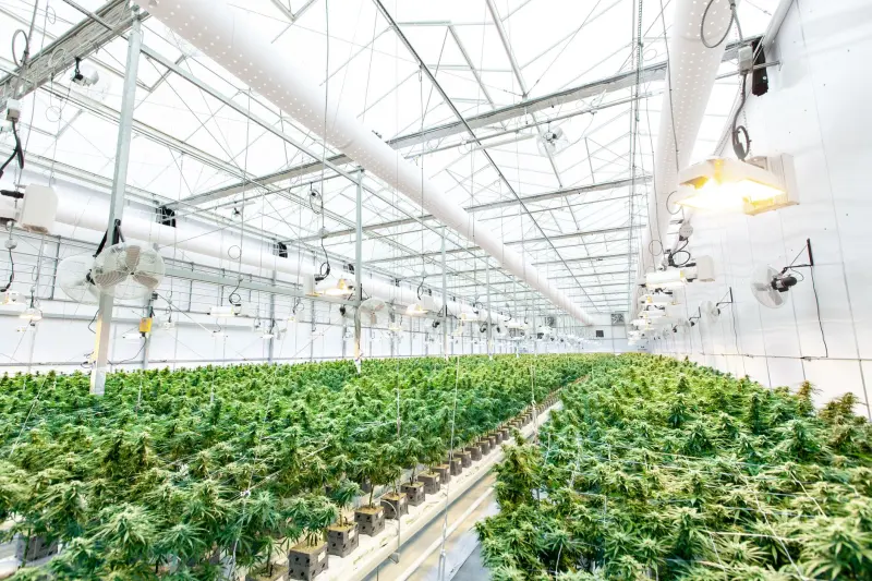 设备维护软件光盘与云端系统集成方案对比分析