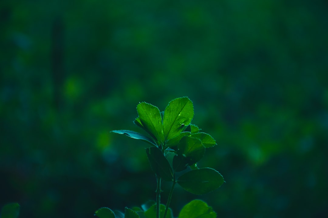 故障诊断软件在苏州制造企业中的应用案例与技术要点分析